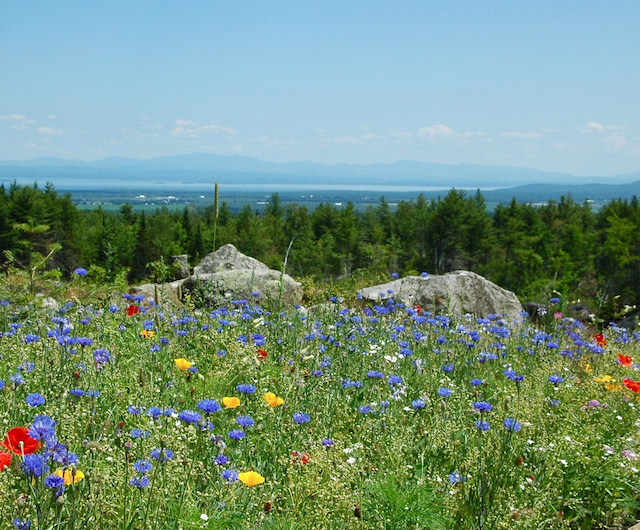 Town of Peru, NY Why choose Peru?